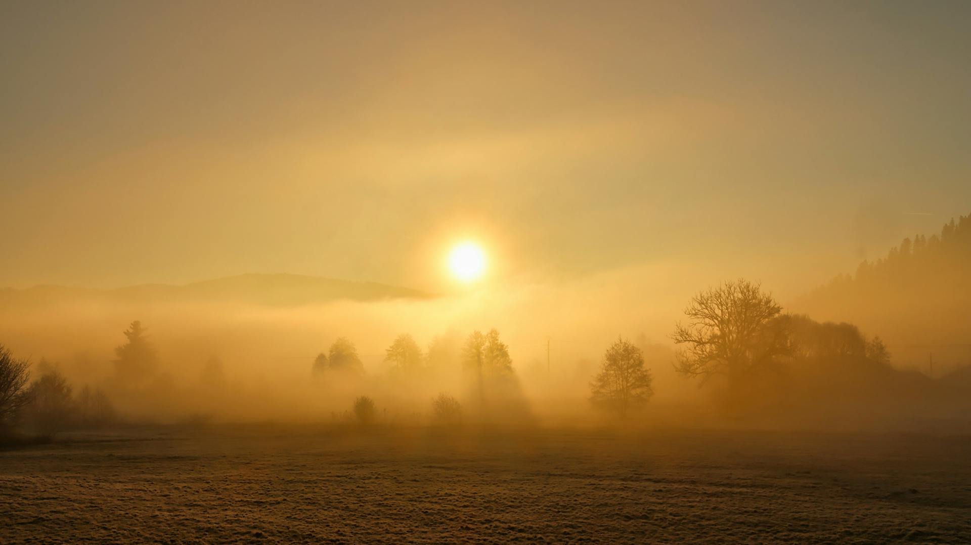 Consultations psychologiques pour un enfant en souffrance psychique avec des difficultés de comportement, relationnelles, gestion de ses émotions, confiance en soi et autres difficultés